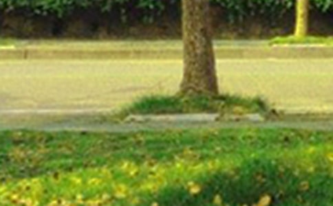 早安一句話勵志溫暖說說