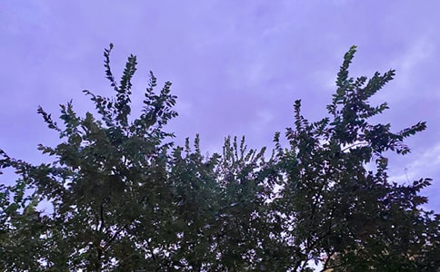 常用溫馨早安句子185句精選