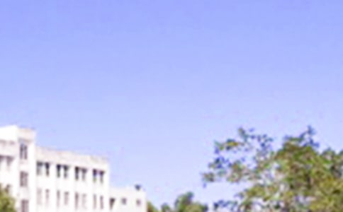 治愈早安寄語(精選130句)