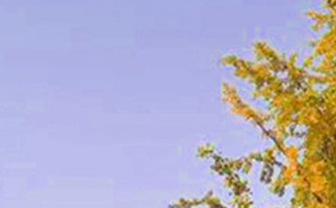 ����Ψ���簲���Z120�侫�x