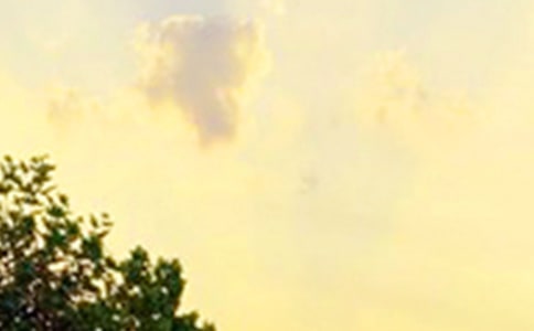 常見唯美早安寄語175句