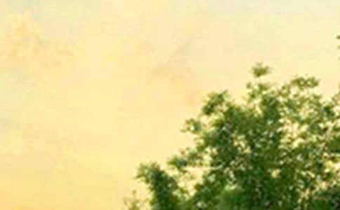 簡(jiǎn)短暖心早安寄語40句