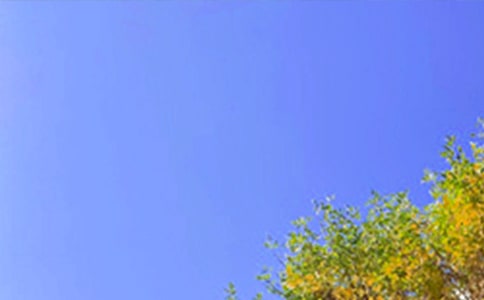 ����Ȧ�簲���Z(y��)200�侫�x