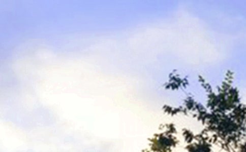 最新朋友圈早安寄語(yǔ)(通用90句)