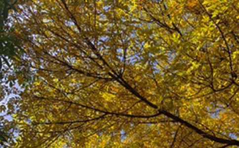 流行正能量早安寄語85句精選