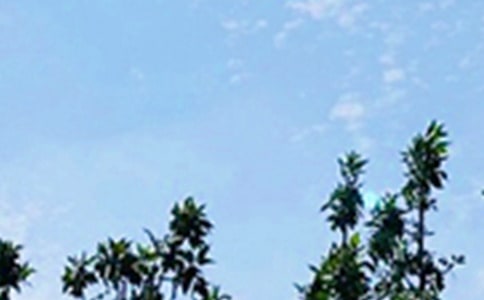 ��(ji��n)��Ψ���簲���Z(y��)�����x135�䣩