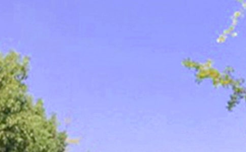 簡(jiǎn)單唯美早安寄語(yǔ)(通用160句)