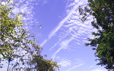 2023年精選早安共勉句子QQ集合65句