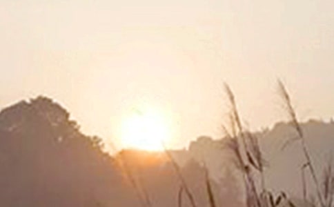 ��(sh��)�õ��簲�������39�l