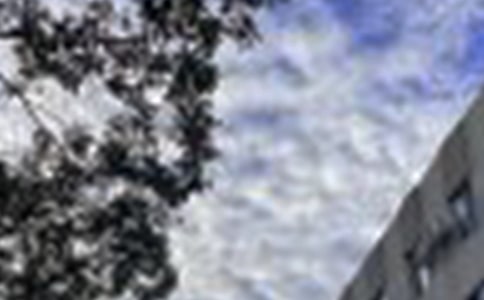 最新勵(lì)志早安寄語(yǔ)匯總175句精選