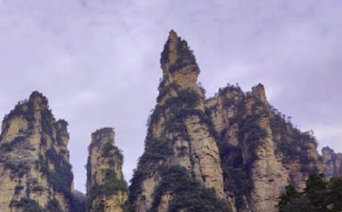 關(guān)于張家界的作文(實用)