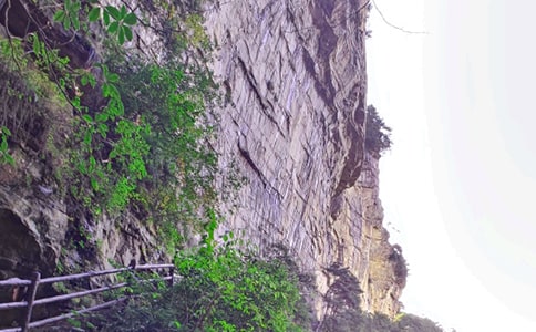 美麗的張家界作文500字