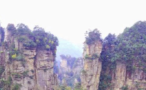 �P(gu��n)�ڏ��ҽ�����ļ���[9ƪ]