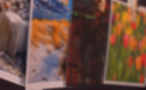 兒子的照片散文