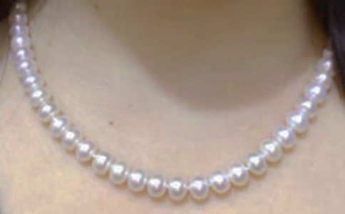 ׽�����һ����ӛ