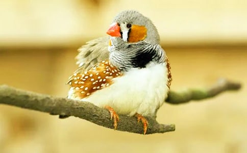 �x�������B���и�