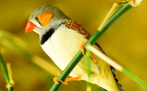 �����B�ă�(y��u)��̰��OӋ9ƪ