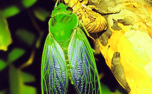 ֪�˵���������