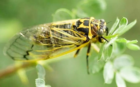 ����֮�ͣ�����֮׽֪��