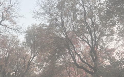 ֲ��@��(j��ng)�v��ӛ�M�ַ���