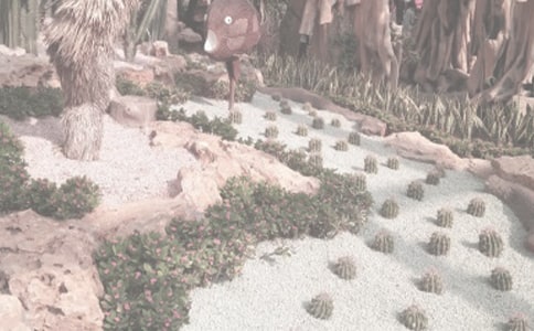 參觀植物園日記