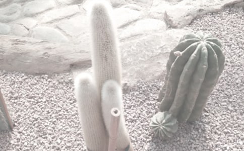 ֲ��@���(d��ng)��ӛ����