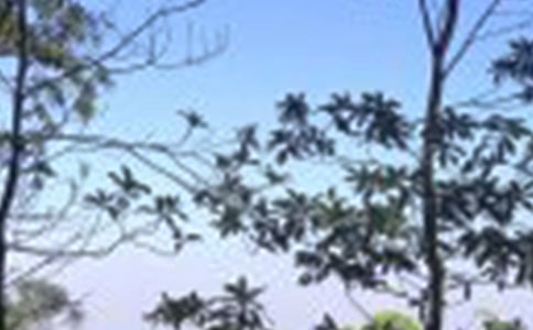 ������������