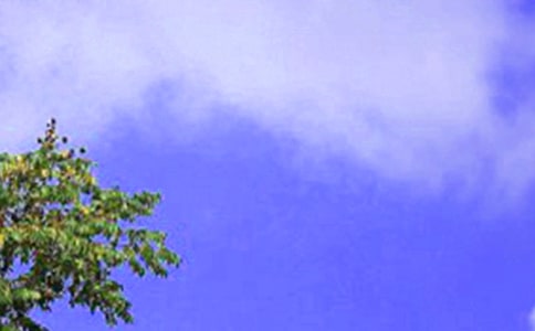 中午的作文600字