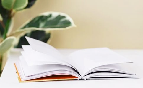 周末見(jiàn)聞500字周記