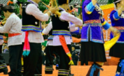 �P(gu��n)�ډ���������������