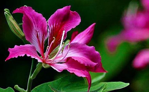 �茑���G�������ģ����x47ƪ��