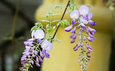 ���ٻ����ľ��A��7ƪ��