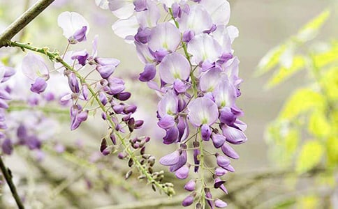 С�����g(sh��)��ָ���̰������ٻ�