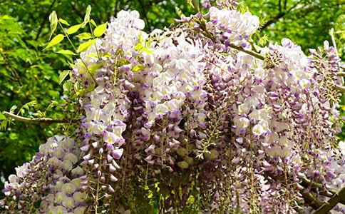 ���ٻ�����(�ϼ�)