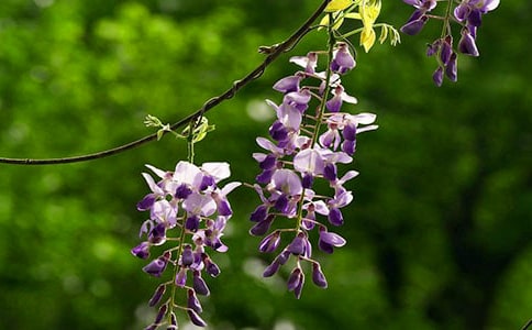 ��Ҋ(ji��n)���ٻ��_(k��i)����