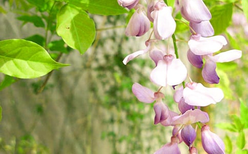 ���ٻ�������(���])