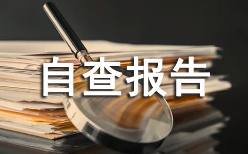 個人所得稅自查報告