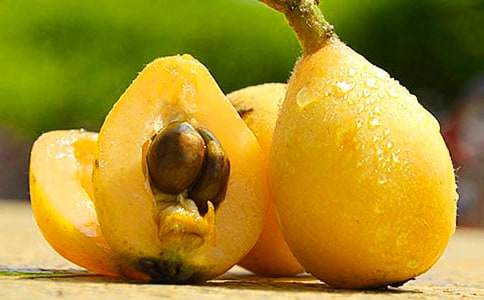 (��Ʒ)ժ��������