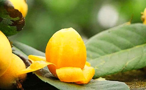 �Ґ۹��l(xi��ng)�İ�ɳ����200������