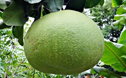 �а����g(sh��)��(y��u)��̰������Ӯ�(hu��)��