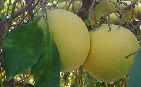 ժ��������