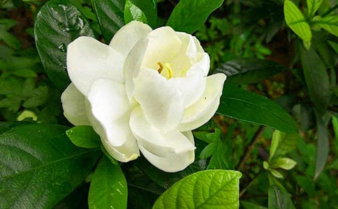 �d�ӻ��_���ąR��15ƪ