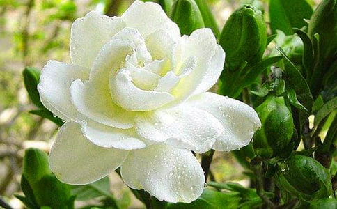 �d�ӻ��_(k��i)����(���x15ƪ)