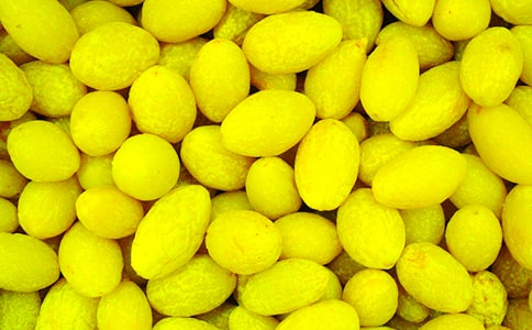 �ҵ����ϙ�����900��