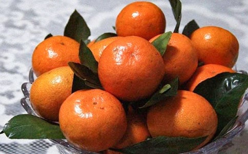 �P���������ģ���(y��u)��15ƪ��