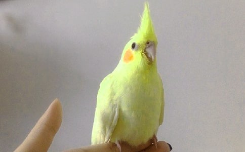 (��)�P(gu��n)���W�^������15ƪ