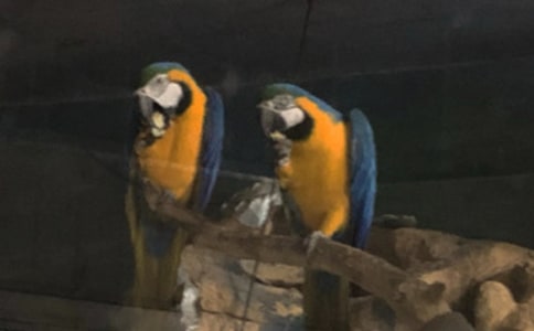 �P(gu��n)���W�^�����ģ����x33ƪ��