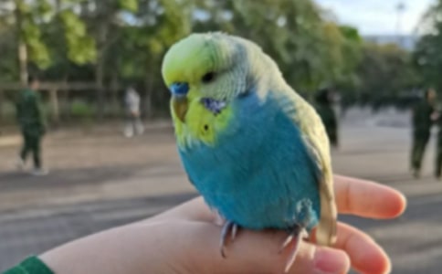 �W�^������600��