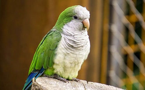 [��(sh��)��]�P(gu��n)���W�^������15ƪ