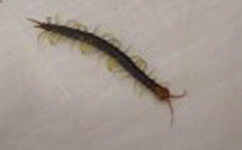 ����w���̰�����򼸂(j��ng)��